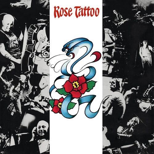 Rose tattoo - tattoo,